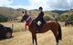 Summerfields Farmstay - thumb 1