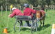 Summerfields Farmstay - thumb 2
