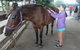 Summerfields Farmstay - thumb 5