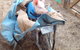 Summerfields Farmstay - thumb 7