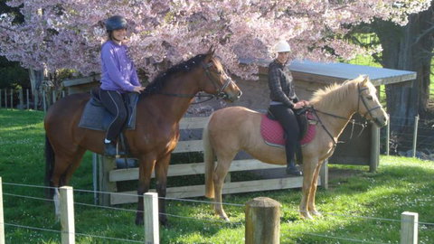 Summerfields Farmstay - Accommodation New Zealand 9