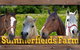 Summerfields Farmstay - thumb 10