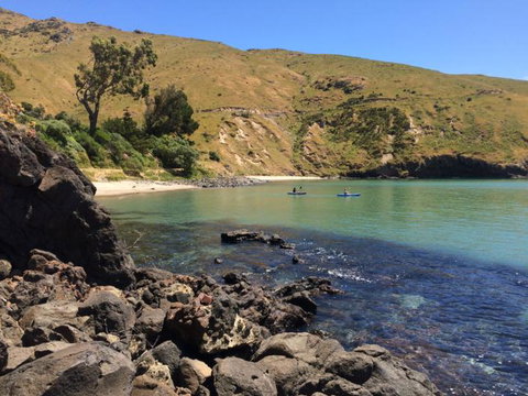 Te Pohue Farm Stay Trails - Accommodation New Zealand 0
