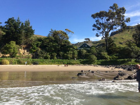 Te Pohue Farm Stay Trails - Accommodation New Zealand 3