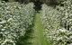 The Pear Orchard Lodge - thumb 23
