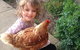Pukeatua Farmstay - thumb 8