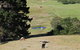 Pukeatua Farmstay - thumb 10
