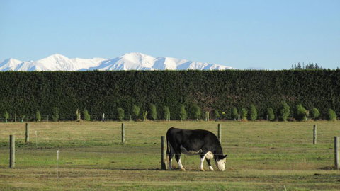 Eyreview Retreat - Accommodation New Zealand 13