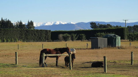 Eyreview Retreat - Accommodation New Zealand 17