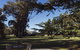 Jaydees Lavender Lifestyle. Self Contained Cottage. - thumb 7
