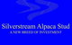 Silverstream Alpaca Farmstay - thumb 1