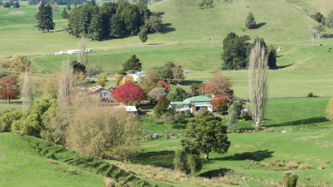 Fernleaf B&B - Accommodation New Zealand 0