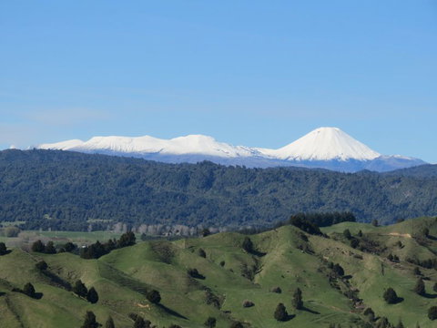 Fernleaf B&B - Accommodation New Zealand 1