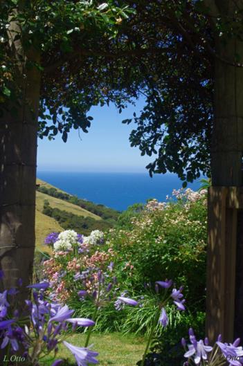 Paua Bay Farmstay
