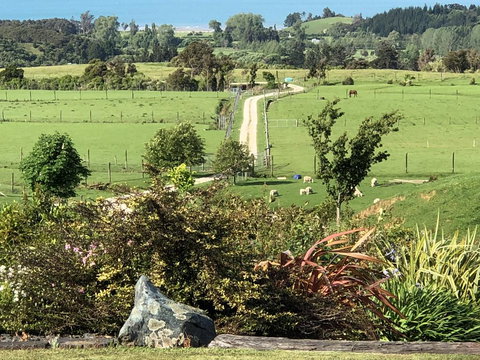 Seaview B&B - Accommodation New Zealand 3