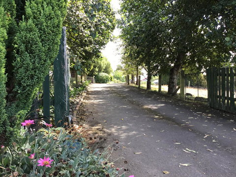 Self Contained And Private Room - Accommodation New Zealand 2