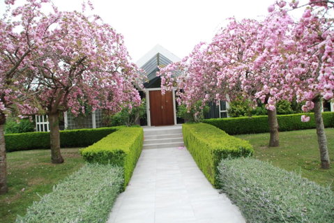 Silverstream Alpaca Farmstay & Tour - Accommodation New Zealand 2