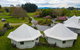 Silverstream Alpaca Farmstay & Tour - thumb 3