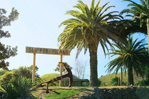 Slipper Island Resort - Accommodation New Zealand 0