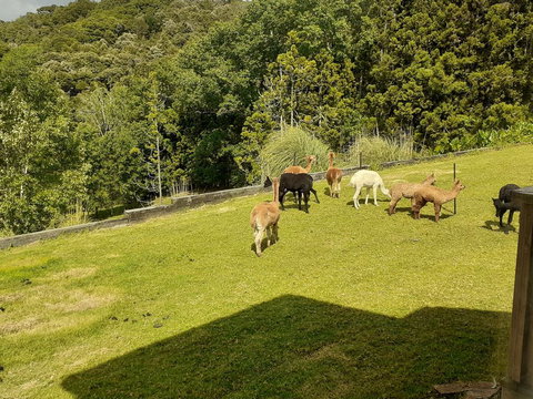 Special View BnB Only - Accommodation New Zealand 1