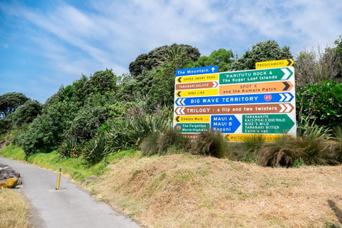 SUNNY ARK APARTMENT - Accommodation New Zealand 3