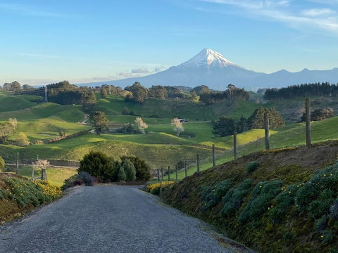 Taranaki Country Lodge - Accommodation New Zealand 1