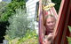 Tasman Bay Backpackers - thumb 3