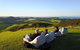 Te Huia - thumb 2