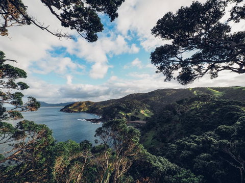 Te Whara At Kauri Mountain Point - Accommodation New Zealand 0