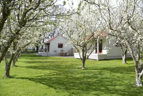 Terracotta Lodge & Cottages - Accommodation New Zealand 0
