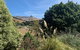 The A-frame Rural Retreat, Port Levy - thumb 3