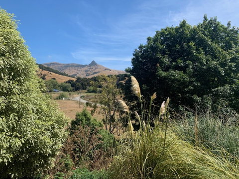 The A-frame Rural Retreat, Port Levy - Accommodation New Zealand 3