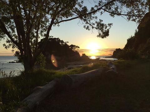 The Beachfront Bach - Accommodation New Zealand 1