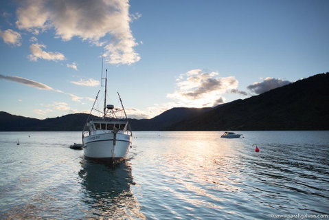 The Bluewater Lodge - Accommodation New Zealand 2