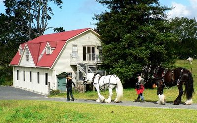 The Carriage House-Bay Of Islands