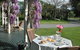 The Peppertree Luxury Accommodation - thumb 3