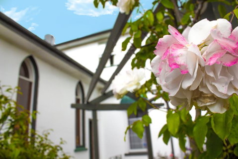 The Pier Lodge Bed And Breakfast - Accommodation New Zealand 2