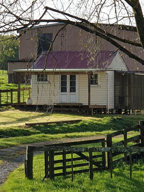 The Yellow Cottage - Accommodation New Zealand 2