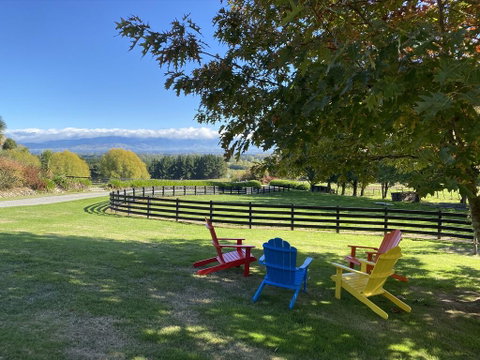 Tree Hut Cottage - Accommodation New Zealand 1
