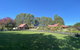 Tree Hut Cottage - thumb 2