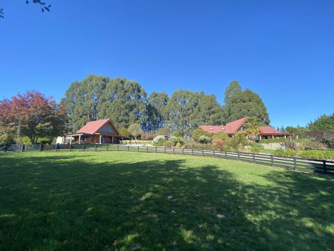 Tree Hut Cottage - Accommodation New Zealand 2