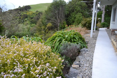 Treetops B&B - Accommodation New Zealand 1