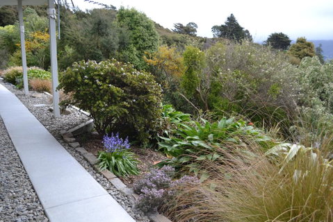 Treetops B&B - Accommodation New Zealand 2