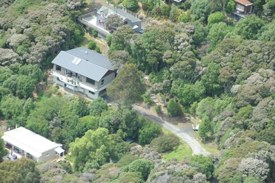 Treetops B&B