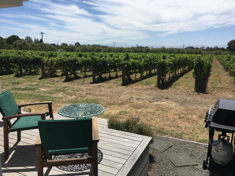 Tuki Vineyard Cottage - Accommodation New Zealand 0