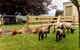 Villa Walton Bed & Breakfast - thumb 2