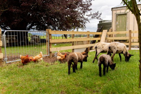 Villa Walton Bed & Breakfast - Accommodation New Zealand 2