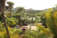 Waterfall Bay Luxury Escape