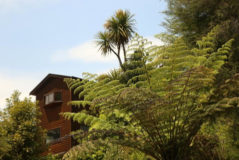 Waterfall Bay Retreat - Accommodation New Zealand 0