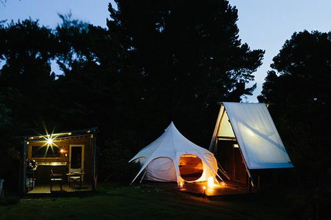 Wild Forest Estate Glamping - Accommodation New Zealand 1